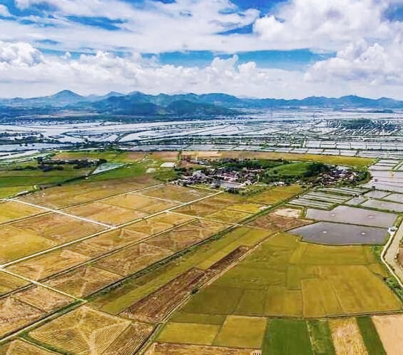 The third national agricultural census of China's agricultural mechanization rate increased